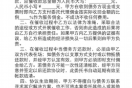 黄山为什么选择专业追讨公司来处理您的债务纠纷？